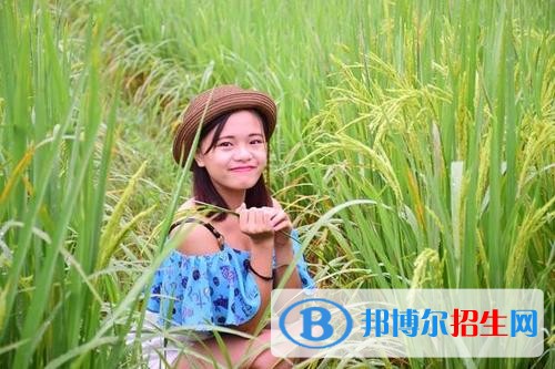 廣西生態(tài)工程職業(yè)技術(shù)學(xué)院單招2019年單獨招生成績查詢、網(wǎng)址入口