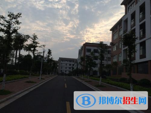 2019年單獨招生報名條件、招生要求、招生對象