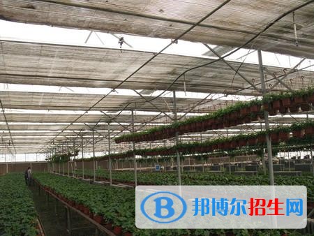 新疆生產(chǎn)建設(shè)兵團興新職業(yè)技術(shù)學院單招2019年單獨招生成績查詢、網(wǎng)址入口