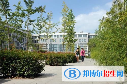 山東理工職業(yè)學院單招2019年單獨招生成績查詢、網(wǎng)址入口