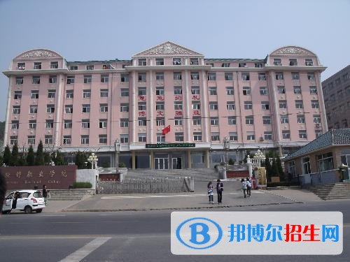 大連軟件職業(yè)學(xué)院?jiǎn)握?019年單獨(dú)招生報(bào)名時(shí)間、網(wǎng)址入口