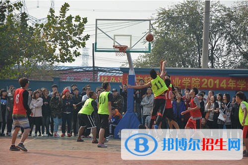 遼寧體育運動職業(yè)技術學院單招2019年單獨招生報名時間、網址入口