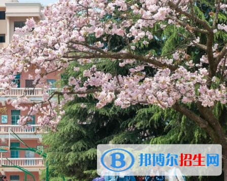 安順第三高級(jí)中學(xué)2019年報(bào)名條件、招生要求、招生對(duì)象