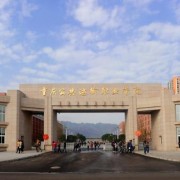 重慶公共運(yùn)輸職業(yè)學(xué)院五年制大專