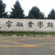遼寧職業(yè)學(xué)院?jiǎn)握? onerror=