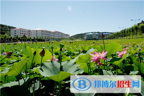 遼寧職業(yè)學院單招2019年有哪些專業(yè)