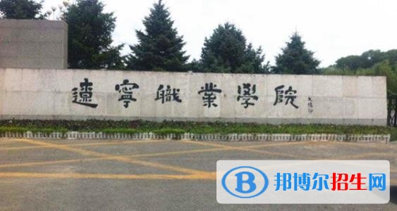 遼寧職業(yè)學(xué)院單招2019年單獨(dú)招生成績查詢、網(wǎng)址入口