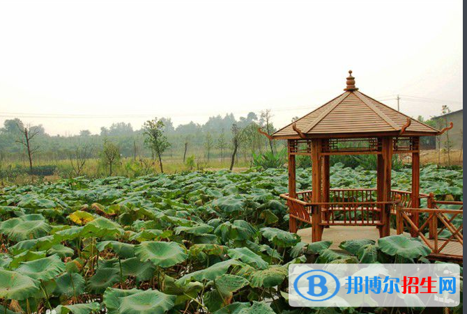成都樹(shù)人職業(yè)學(xué)校1