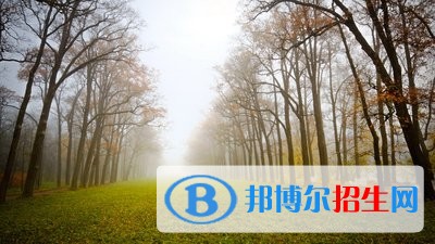 廈門(mén)興才職業(yè)技術(shù)學(xué)院?jiǎn)握?019年報(bào)名條件、招生要求、招生對(duì)象