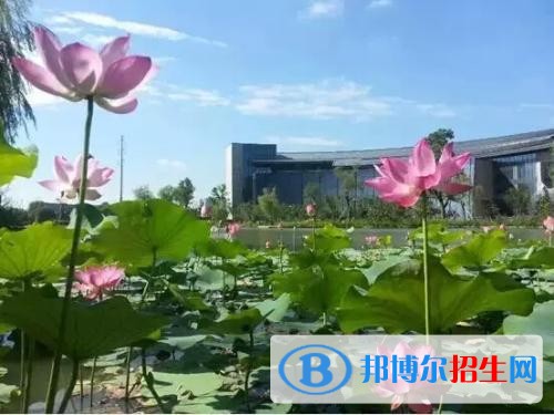 浙江旅游職業(yè)學院五年制大專網(wǎng)站網(wǎng)址