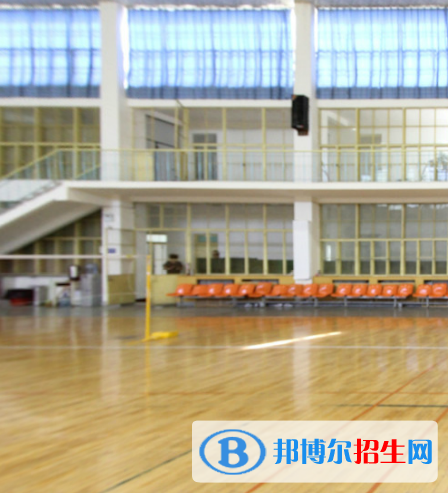 金昌技師學(xué)院五年制大專(zhuān)2020年招生錄取分?jǐn)?shù)線(xiàn)