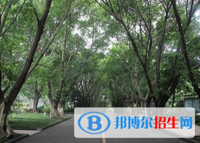 重慶初中畢業(yè)生讀哪個(gè)衛(wèi)校