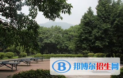 重慶的衛(wèi)校對教師有什么要求