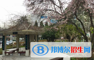 成縣職業(yè)中等專業(yè)學(xué)校2020年報(bào)名條件、招生要求、招生對(duì)象