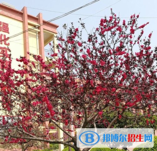 西安臨潼區(qū)職業(yè)教育中心2020年報名條件、招生要求、招生對象