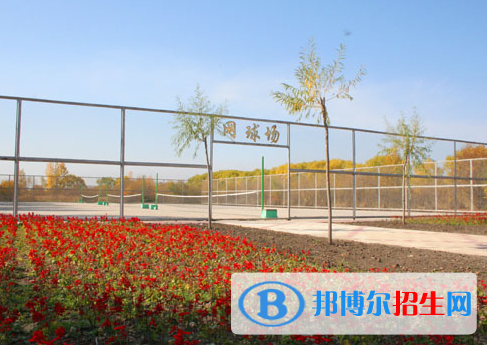 鶴崗師范高等?？茖W(xué)校單招2020年單獨(dú)招生報名時間、網(wǎng)址入口  