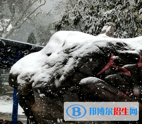 http://qirb.com.cn/ujxtyjsgcxx/