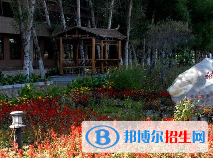 佳木斯職業(yè)學院單招2020年單獨招生報名時間、網址入口  
