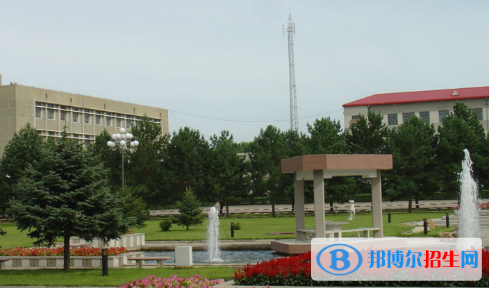 大慶職業(yè)學(xué)院單招2020年單獨招生成績查詢、網(wǎng)址入口