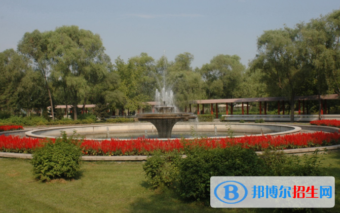 大慶職業(yè)學(xué)院單招2020年單獨(dú)招生報(bào)名時(shí)間、網(wǎng)址入口