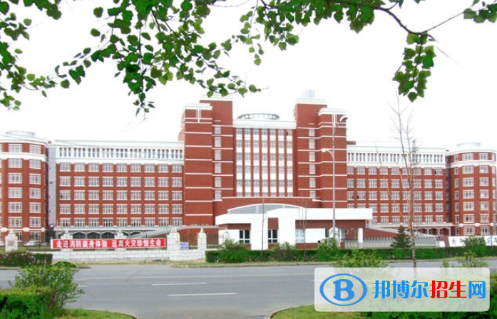 哈爾濱幼兒師范高等?？茖W(xué)校單招2020年單獨招生報名時間、網(wǎng)址入口