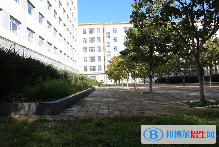 黑龍江護(hù)理高等?？茖W(xué)校單招2020年單獨(dú)招生報(bào)名時(shí)間、網(wǎng)址入口
