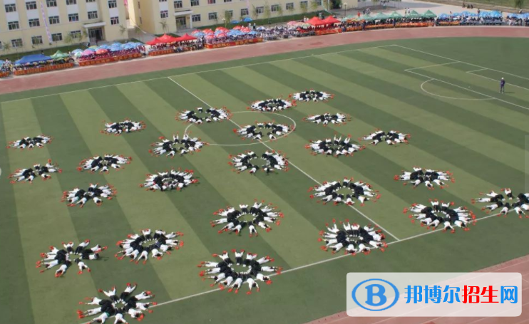 哈爾濱應(yīng)用職業(yè)技術(shù)學(xué)院?jiǎn)握?020年單獨(dú)招生成績(jī)查詢(xún)、網(wǎng)址入口
