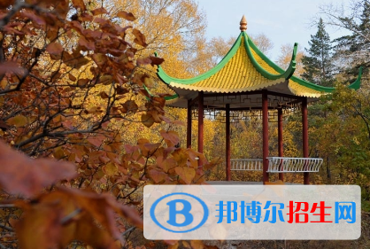 齊齊哈爾理工職業(yè)學院單招2020年單獨招生成績查詢、網(wǎng)址入口