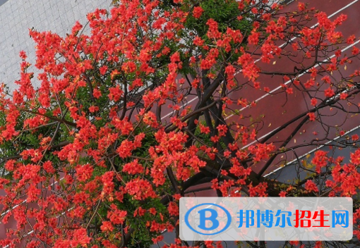 廣東2020年初中生能讀什么汽修學校
