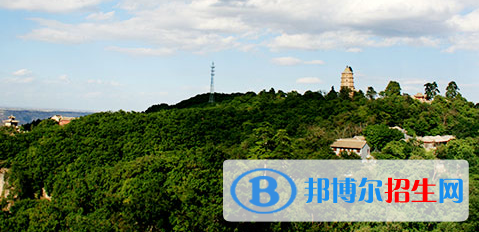 平?jīng)鲠轻嘉奈鋵W(xué)校2020年有哪些專業(yè)