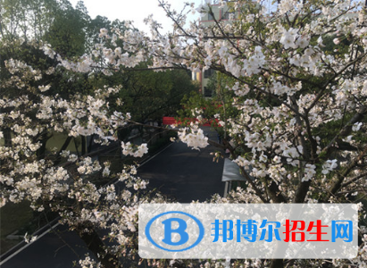 湖南2020年鐵路學校有女生嗎
