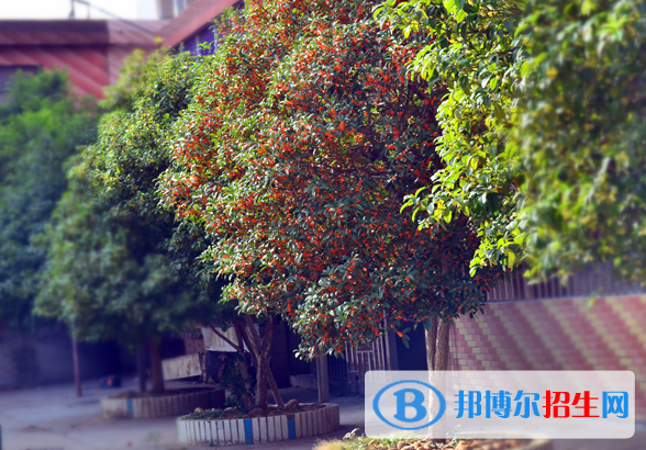 贛州育才職業(yè)中等專業(yè)學校2020年招生簡章