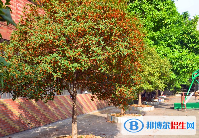 贛州育才職業(yè)中等專業(yè)學校網站網址