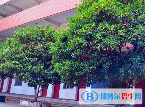贛州育才職業(yè)中等專業(yè)學(xué)校怎么樣、好不好