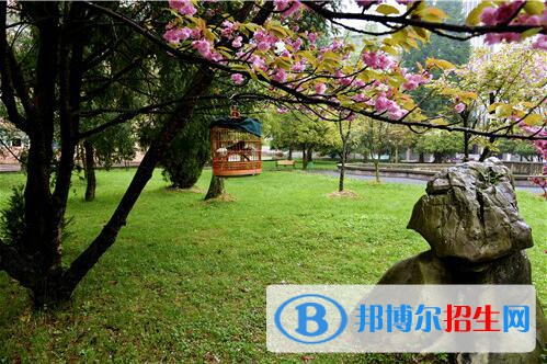 貴州林業(yè)學(xué)校2020年報(bào)名條件、招生要求、招生對象