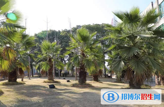 義烏國(guó)際商貿(mào)學(xué)校網(wǎng)址網(wǎng)站
