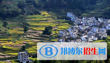 江西婺源茶葉學(xué)校2020年報(bào)名條件、招生要求、招生對(duì)象 
