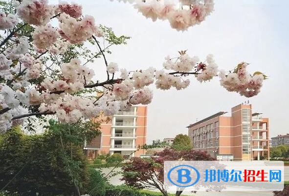 桐鄉(xiāng)衛(wèi)生學校2020年報名條件、招生要求、招生對象