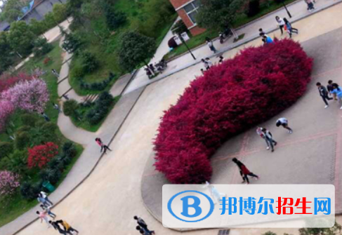 江西醫(yī)藥學校網站網址