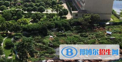 廣西工商技師學(xué)院2020年報(bào)名條件、招生要求、招生對象 