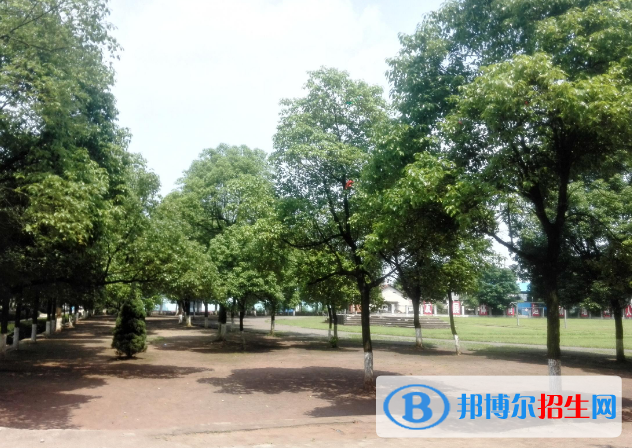 湖南2020年鐵路學(xué)校的分?jǐn)?shù)線