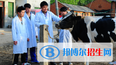 甘南畜牧學校2020年學費、收費多少