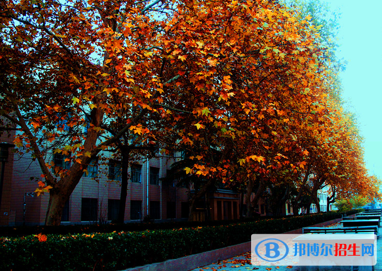鄭州工業(yè)貿易學校2021年招生辦聯(lián)系電話