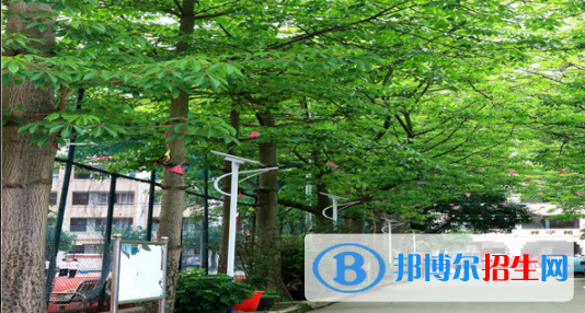 蒼梧中等專業(yè)學(xué)校2020年報(bào)名條件、招生要求、招生對象