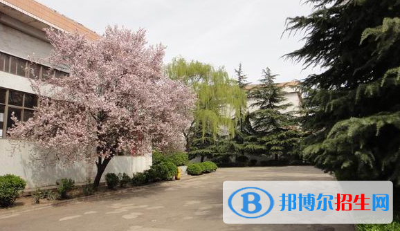 登封中等專業(yè)學(xué)校2021年報(bào)名條件、招生要求、招生對(duì)象