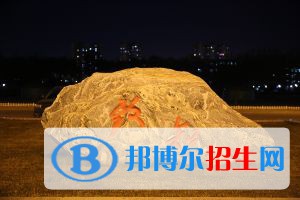 石家莊2020年關于衛(wèi)校的大專學校