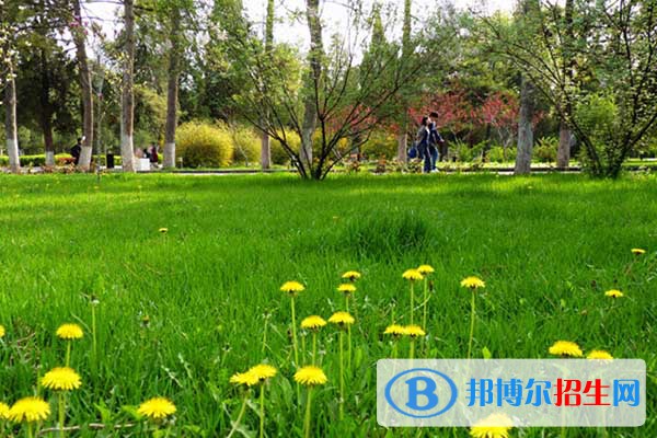 雙江縣職教中心2020年招生簡章