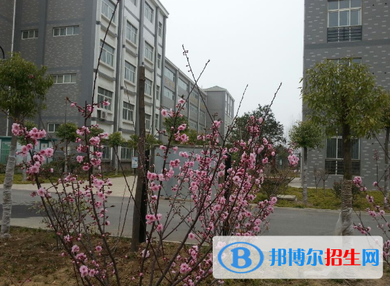 許昌工商管理學(xué)校2021年報(bào)名條件、招生要求、招生對象