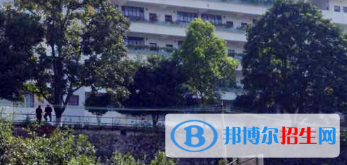 廣西梧州財(cái)經(jīng)學(xué)校2020年有哪些專業(yè)