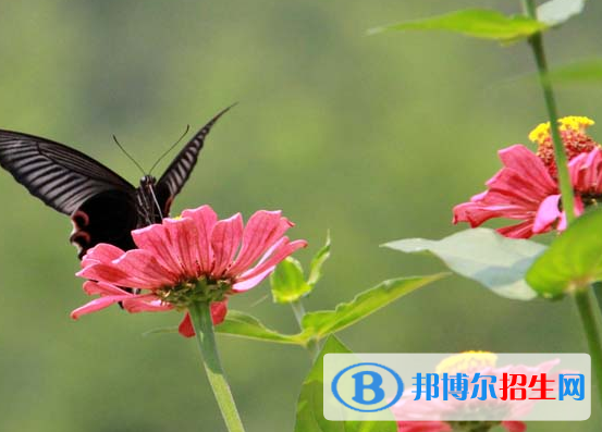 黃山旅游管理學(xué)校怎么樣、好不好
